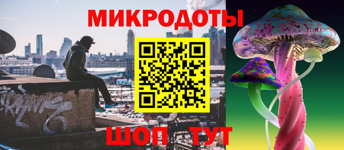 Камень-на-Оби  Псилоцибиновые грибы GOLDEN TEACHER  Вход с VPN 